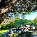 Emerald Ranch Of Yosemite
